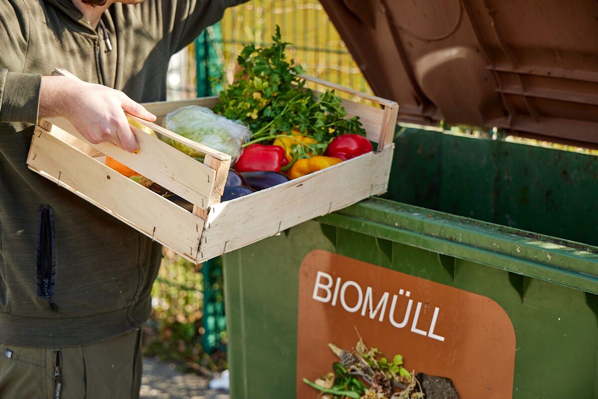 Gute Lebensmittel landen einfach in der Biotonne