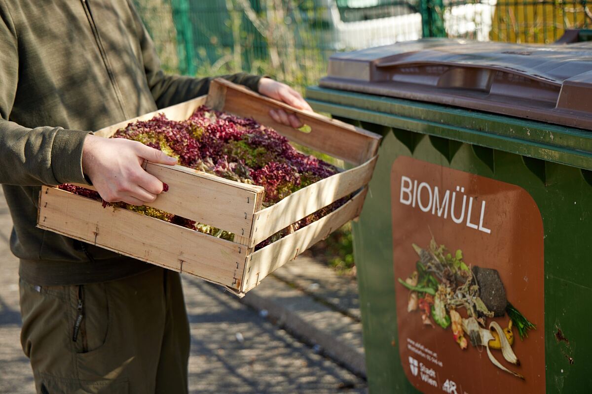 Symbolbild Lebensmittelverschwendung